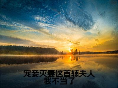 (苏青玉云奕霄)宠妾灭妻这首辅夫人我不当了全文免费阅读无弹窗_(宠妾灭妻这首辅夫人我不当了小说免费阅读)最新章节列表笔趣阁