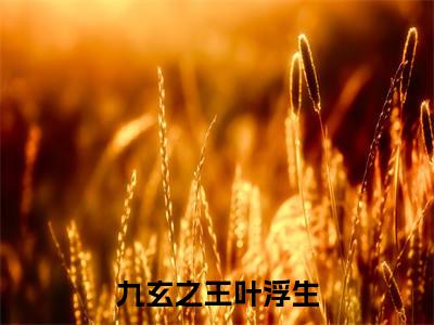 九玄之王叶浮生(叶浮生小说)全文在线阅读无弹窗大结局_(叶浮生小说)九玄之王叶浮生在线阅读无弹窗最新章节列表
