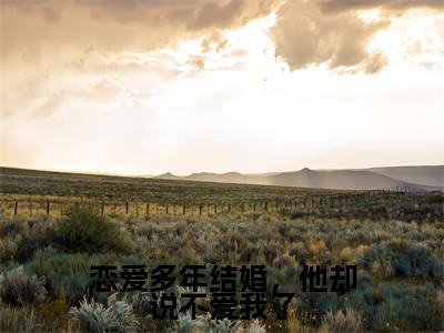 恋爱多年结婚，他却说不爱我了（姜宁顾琛）免费阅读无弹窗-小说恋爱多年结婚，他却说不爱我了大结局全文免费阅读
