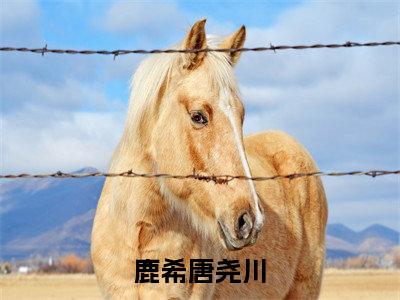 鹿希唐尧川（鹿希唐尧川）全文免费阅读无弹窗大结局_鹿希唐尧川最新章节列表_笔趣阁
