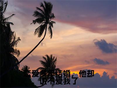 恋爱多年结婚,他却说不爱我了(姜宁顾琛)全集免费阅读无弹窗_恋爱多年结婚,他却说不爱我了正版小说免费阅读