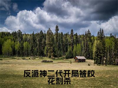 主角是林清雪顾天的小说(反派神二代开局被校花刺杀)-(反派神二代开局被校花刺杀)林清雪顾天全文免费阅读无弹窗大结局笔趣阁