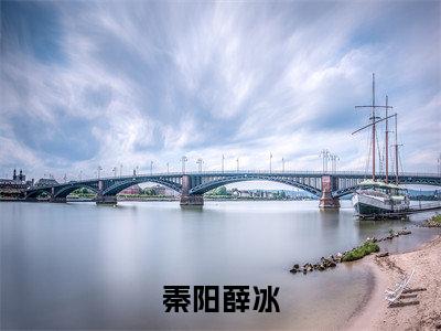 秦阳薛冰小说免费阅读秦阳薛冰小说全文免费阅读_(秦阳薛冰)秦阳薛冰最新章节列表笔趣阁