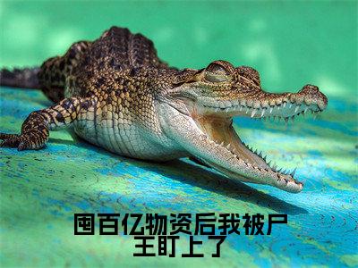 囤百亿物资后我被尸王盯上了全文(安颜)小说免费阅读无弹窗大结局_囤百亿物资后我被尸王盯上了全文无弹窗完整版阅读