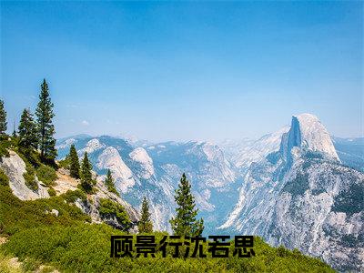 沈若思顾景行全文免费阅读大结局顾景行沈若思最新章节列表