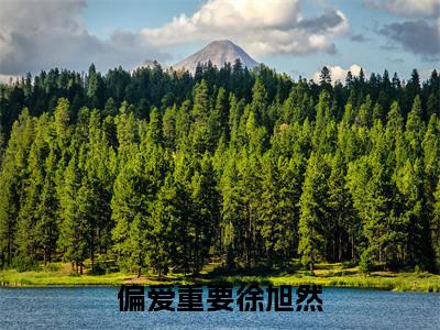 沈嫣徐旭然(偏爱重要徐旭然)免费小说全文完整版-偏爱重要徐旭然最新章节完整版阅读
