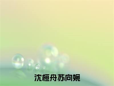 沈桓舟苏向婉(苏向婉沈桓舟)小说全文免费阅读大结局-沈桓舟苏向婉免费阅读无弹窗大结局