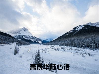 萧辰华陆心语全文免费阅读无弹窗,陆心语萧辰华小说最新章节列表无删减_笔趣阁