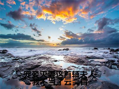 宠妾灭妻这首辅夫人我不当了云奕霄（苏青玉云奕霄）全文免费阅读无弹窗_宠妾灭妻这首辅夫人我不当了云奕霄最新小说_笔趣阁（苏青玉云奕霄）