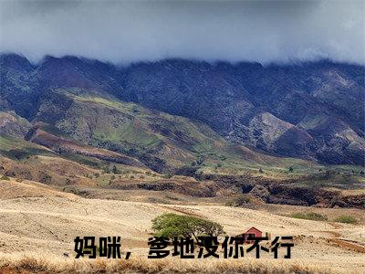 妈咪，爹地没你不行（傅行司慕晚晚）全文免费阅读无弹窗大结局_妈咪，爹地没你不行热门小说最新章节阅读