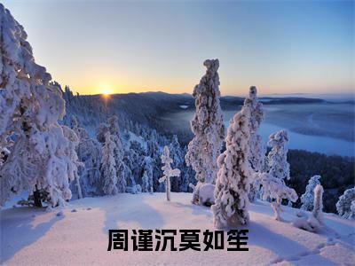 周谨沉莫如笙(莫如笙周谨沉)小说全文免费阅读无弹窗-周谨沉莫如笙全章节在线阅读(莫如笙周谨沉免费+后续)