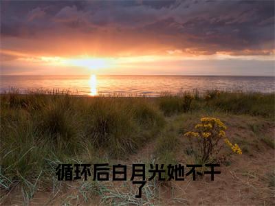 循环后白月光她不干了（幽凝玄霄小说）全文免费阅读无弹窗大结局_循环后白月光她不干了（幽凝玄霄）最新章节列表笔趣阁