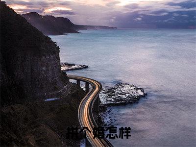 宁以夏陆司霆小说(拼个婚怎样)全文免费阅读_拼个婚怎样最新章节列表笔趣阁(宁以夏陆司霆)