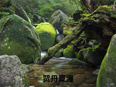 贺舟夏潼(夏潼贺舟)全文免费阅读无弹窗大结局_贺舟夏潼最新章节完整版阅读