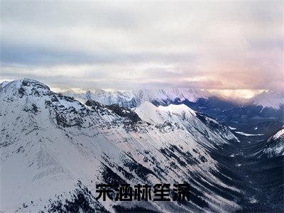 宋涵林笙深(宋涵林笙深)全文免费阅读无弹窗大结局-宋涵林笙深最新章节列表-笔趣阁