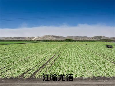 江喻尤语(尤语江喻)全文免费阅读大结局_江喻尤语全文在线完本阅读