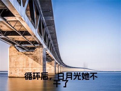 循环后，白月光她不干了正版小说全文阅读幽凝玄霄无删减版
