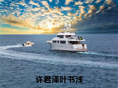 叶书浅许君泽(叶书浅许君泽)全文免费阅读无弹窗大结局_许君泽叶书浅最新章节列表