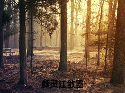 颜灵江敛墨小说全文在线赏析颜灵江敛墨小说免费阅读全文大结局