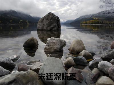 主人公叫（阮夏宋廷深）的小说（宋廷深阮夏）全文免费阅读最新章节列表_笔趣阁