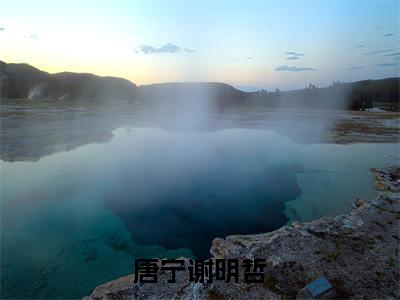 唐宁谢明哲小说全文-唐宁谢明哲无弹窗免费阅读