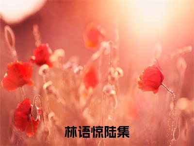(陆集林语惊)林语惊陆集全文免费阅读无弹窗大结局_林语惊陆集最新章节列表笔趣阁(陆集林语惊)