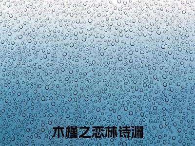 木槿林诗渊小说全文免费阅读_（木槿林诗渊）木槿之恋林诗渊小说最新章节列表笔趣阁