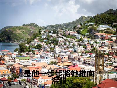 是他一步步将她推向深渊在线阅读全文免费阅读无弹窗大结局_温昕时北辰最新章节列表_笔趣阁