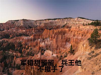 军婚甜蜜蜜,兵王他不撒手了全文免费阅读无弹窗大结局_(徐子矜陆寒洲在线阅读)军婚甜蜜蜜,兵王他不撒手了最新章节完整版阅读