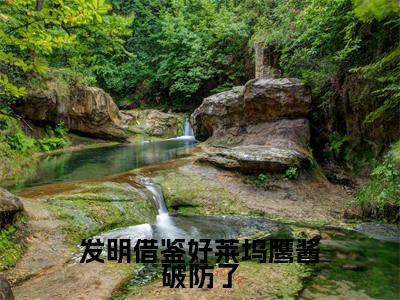 苏阳刘忠（发明借鉴好莱坞鹰酱破防了）全文免费阅读无弹窗-发明借鉴好莱坞鹰酱破防了完整版全文在线赏析