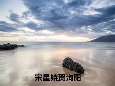 (宋星娆贺洵阳)全文免费阅读无弹窗大结局_(宋星娆贺洵阳全文免费)宋星娆贺洵阳小说最新章节列表_笔趣阁