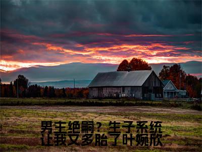 男主绝嗣?生子系统让我又多胎了叶婉欣(叶婉欣司夜寒精彩美文)免费阅读-小说叶婉欣司夜寒最后结局如何