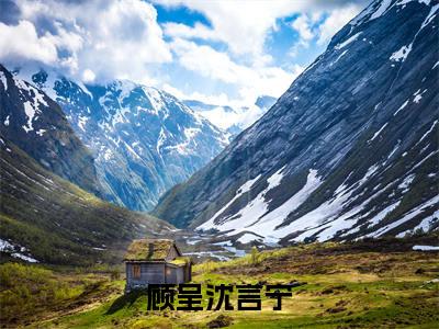 沈言宁顾呈全文免费阅读大结局-沈言宁顾呈最新章节免费阅读大结局