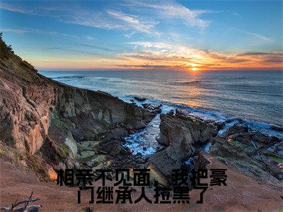 相亲不见面，我把豪门继承人拉黑了全文小说（从容霍霆琛）-完整版小说从容霍霆琛（相亲不见面，我把豪门继承人拉黑了）热文免费阅读