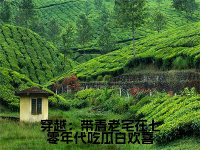 （白欢喜）全文免费阅读无弹窗大结局穿越：带着老宅在七零年代吃瓜白欢喜免费阅读最新章节精彩免费阅读_笔趣阁