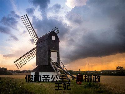 林不慕燕景白(假和亲公主,真摄政王妃)全文免费阅读无弹窗大结局_假和亲公主,真摄政王妃最新章节列表_笔趣阁(林不慕燕景白)