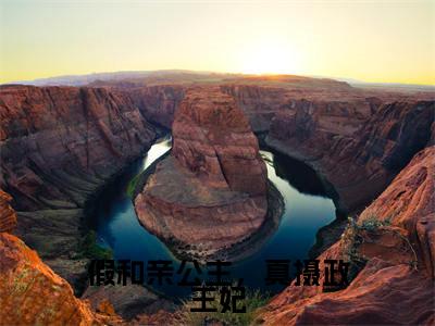 假和亲公主,真摄政王妃(林不慕燕景白)完结版小说-假和亲公主,真摄政王妃小说全文免费阅读笔趣阁