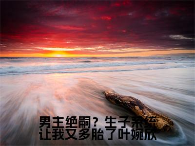 小说男主绝嗣?生子系统让我又多胎了叶婉欣免费阅读-(叶婉欣司夜寒)男主绝嗣?生子系统让我又多胎了叶婉欣最新章节小说阅读-笔趣阁