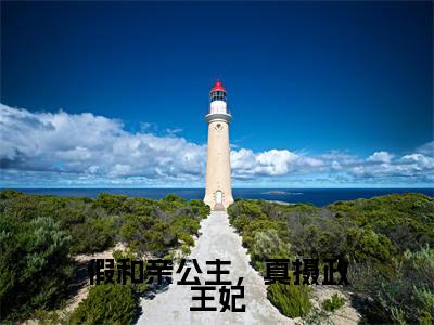 假和亲公主,真摄政王妃(林不慕燕景白)全文免费阅读无弹窗_假和亲公主,真摄政王妃完整版最新阅读_笔趣阁(林不慕燕景白)