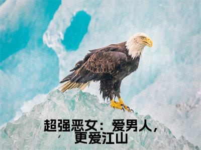 苏婧瑶君泽辰全文免费阅读-全网首发小说超强恶女:爱男人,更爱江山