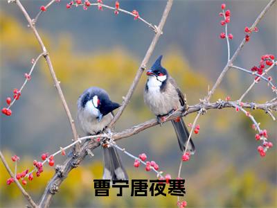 曹宁唐夜寒全文免费阅读_(曹宁唐夜寒)唐夜寒曹宁最新小说_笔趣阁