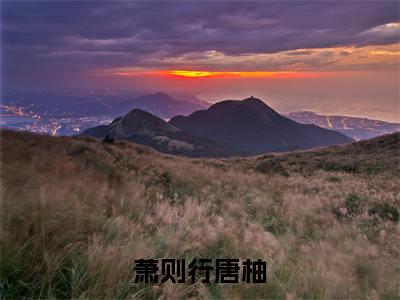 萧则行唐柚全文免费阅读大结局_萧则行唐柚全文免费阅读无弹窗_笔趣阁(唐柚萧则行)