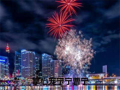 唐夜寒曹宁掌心宠宁宁曹宁快手热文整理-唐夜寒曹宁小说掌心宠宁宁曹宁今日更新章节
