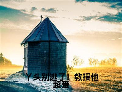 丫头别逃了！教授他超爱谢宴宁苏绾晚多人追免费无弹窗小说，谢宴宁苏绾晚已完结全集大结局
