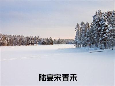 (陆宴宋青禾)全文免费阅读无弹窗大结局_(宋青禾陆宴)章节列表_笔趣阁