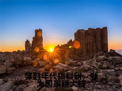 穿到年代搞科研,我为国家赚大钱在线阅读(宋青禾陆宴)全文免费阅读无弹窗大结局_宋青禾陆宴免费最新章节列表