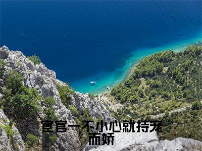 (热推新书)《宦官一不小心就持宠而娇》全文免费阅读无弹窗大结局-江蔓厉沉无弹窗阅读