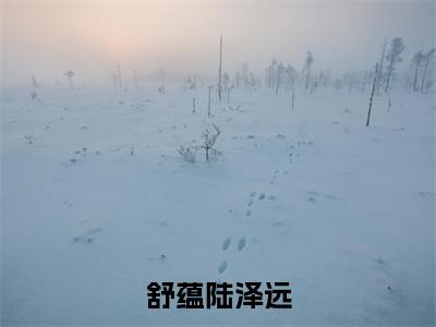 陆泽远舒蕴(舒蕴陆泽远)免费小说完整版阅读-(陆泽远舒蕴)最新章节在线阅读