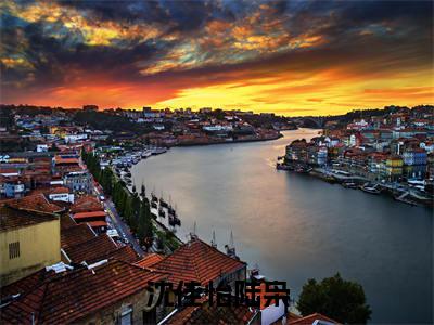 沈佳怡陆枭免费阅读无弹窗,小说陆枭沈佳怡大结局全文免费阅读