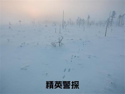 精英警探(沈吉)全文免费阅读_(精英警探)免费阅读无弹窗最新章节列表